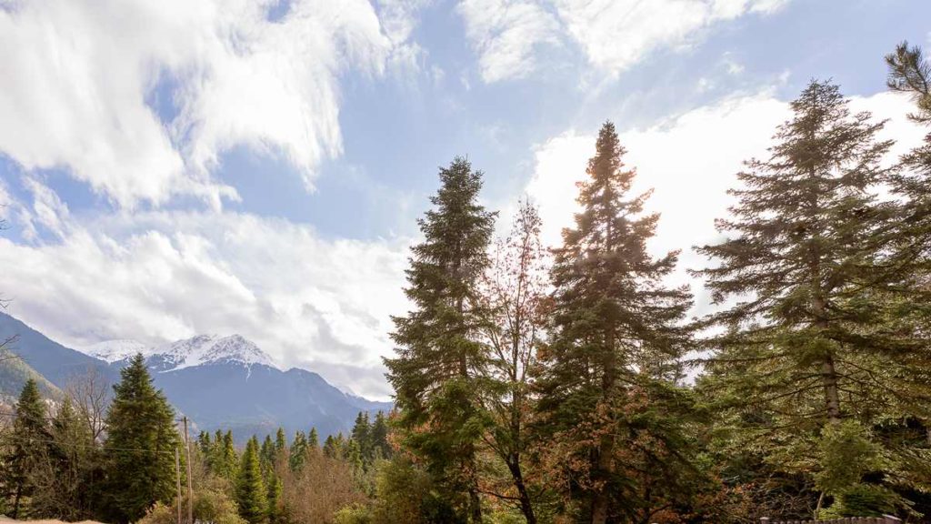 Country Club Hotel and Suites, Φύση