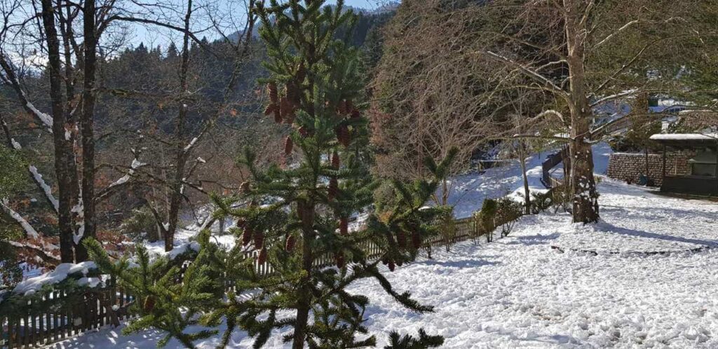 Across Hotels & Resorts -Country Club Hotel & Suites - Mikro Chorio-Karpenisi - Winter