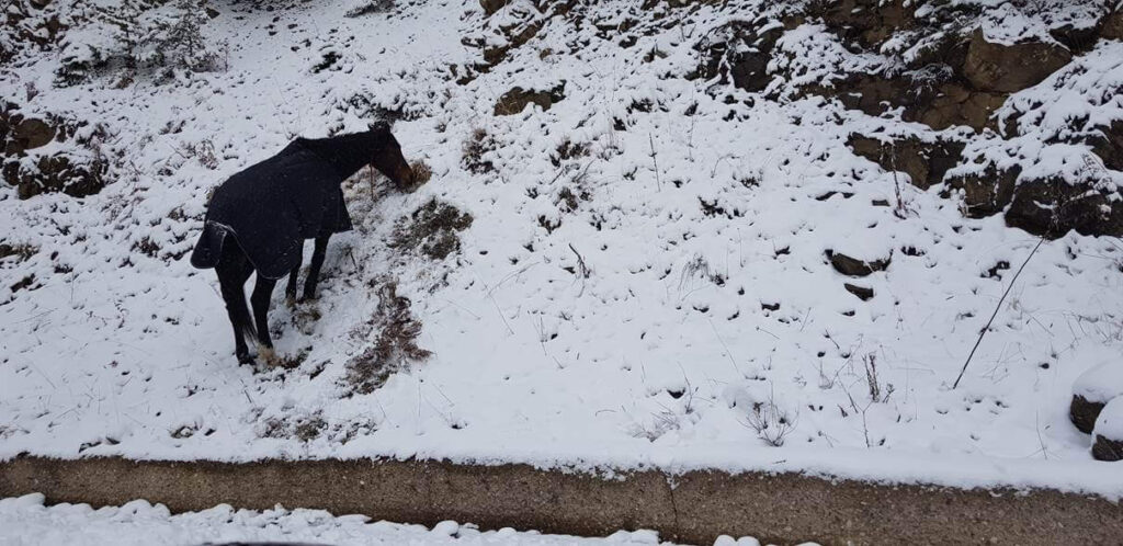 Across Hotels & Resorts -Country Club Hotel & Suites - Mikro Chorio-Karpenisi - Winter