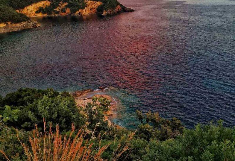 sivota880-1-800x550
