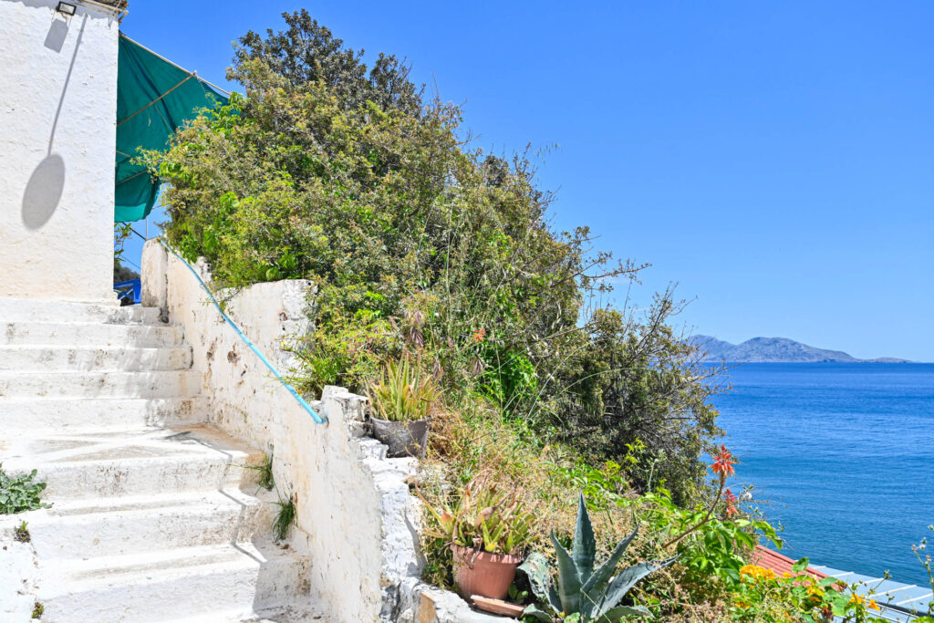 Ikaria-Therma blue hotel-84